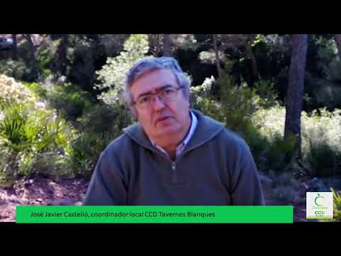 Tavernes Blanques, un nuevo proyecto