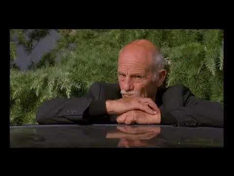 Il pesce innamorato - l'autista e le corse dei cani