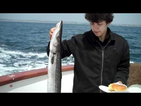 Ryan...Fish or burger?