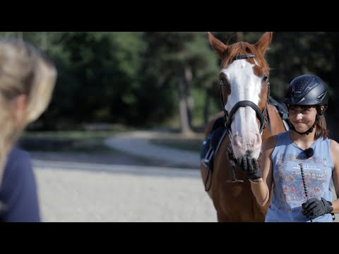 Da kann man nichts mehr machen? Pferdebsitzerin sucht Hilfe für ihr Herzenspferd bei Ariane Telgen