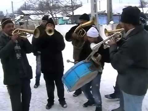 Fanfara lui Ionel a lui Janica de la Stejaru