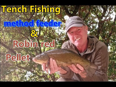 Tench Fishing, Method feeder