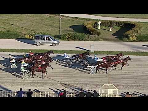 Aversa trotto 15 Febbraio 2020 - 2° Corsa