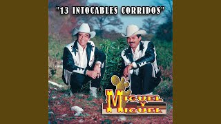 Caballo De Patas Blancas