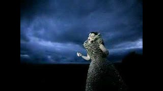björk - who is it