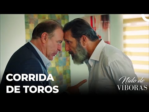 ¡Que Empiece La Guerra! - Nido De Víboras Capitulo 29 (Dobladas en Español)
