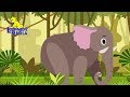 An Elephant Walks Like English Nursery Rhymes English Kids Songs