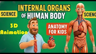 Internal Body Parts For Kids - Internal Organs of Human Body | Educational Video | Anatomy For Kids