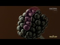 VFX BREAKDOWN MAGNUM PS MULBERRY 2016