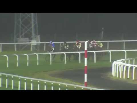 2017.09.22 Breeders' Trophy Sprint (SWE) - Prime Red