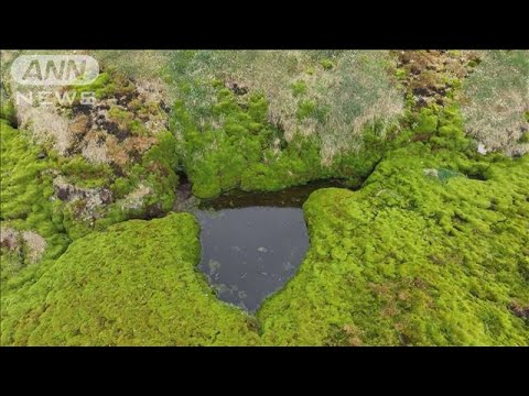 シベリアの永久凍土:巨大な穴は今後も成長し続けるだろうと研究者らは語る