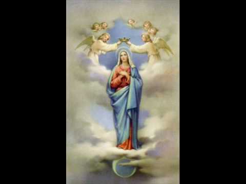 Zbor sv.Jakuba - Sedembolestná