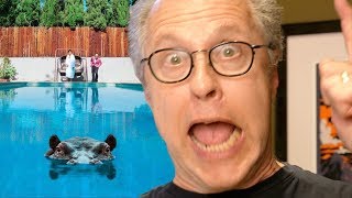 Review of Sparks&#39; Hippopotamus album