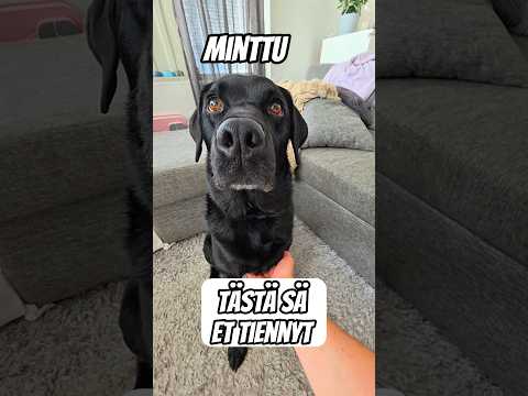 vain harva tietää tästä🤫