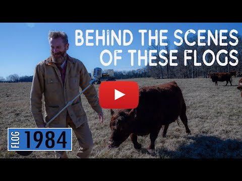 Thumbnail for Behind-the-scenes of my Flogs.... by Jimmy Fortune, Head, The Format, VAST, Frida, Concert, The La's