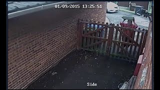 faze tari livrare rapida