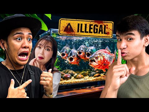 ILLEGAL PIRANHA sa BG HOUSE - PRANK