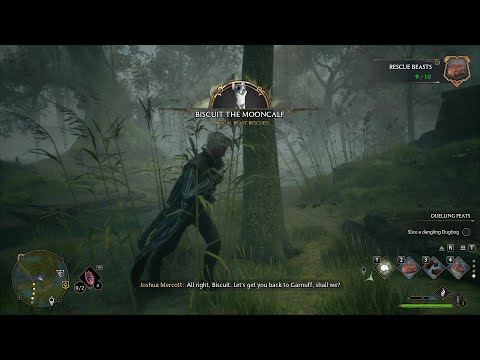 Hogwarts Legacy PC Gameplay | Side Quest | Take The Biscuit