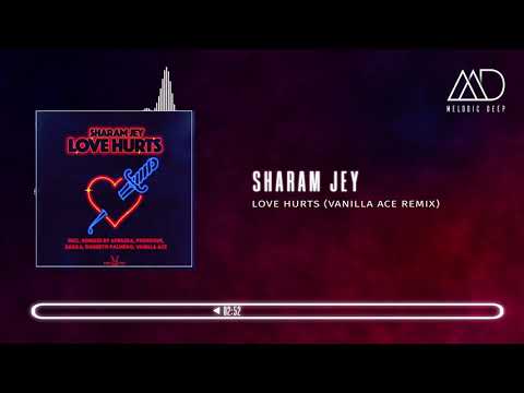 PREMIERE: Sharam Jey - Love Hurts (Vanilla Ace Remix) [Bunny Tiger]