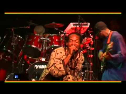 jamadom " lion dans l'arenne "