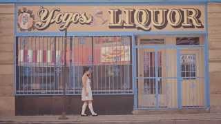 Where Have You Gone ZIGTEBRA