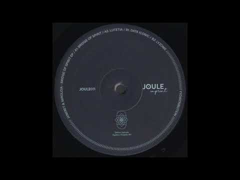 B1. Janeret & Miroloja - Data Iconic [JOULE011]