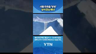 비상 걸린 제주 바다 #shorts / YTN