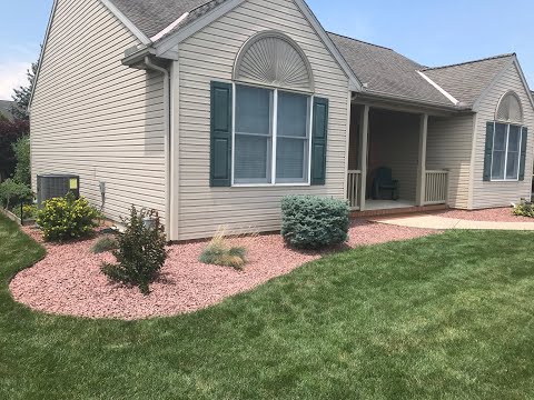image-Can you put rocks around hostas?