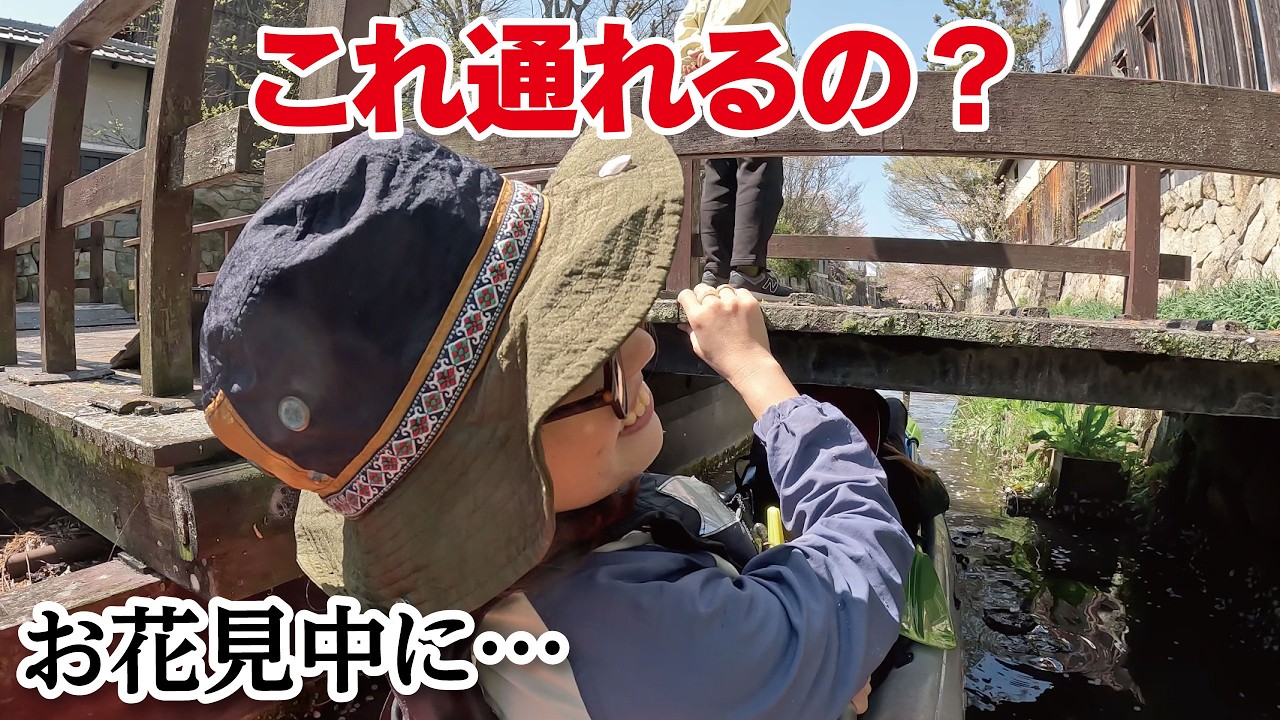 お花見中に“通れない橋”に突っ込んだ結果…まさかの展開に｜滋賀・近江八幡・カヤック女子