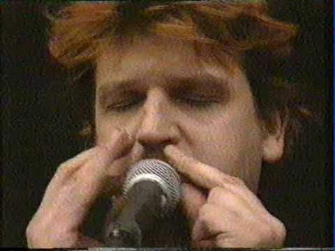 dEUS   Pinkpop 1995   interview  plus live