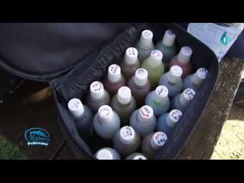 Čari Ribolova, Ribolovačko carstvo kod Kikinde (03.11.2017)