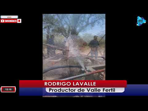 RODRIGO LAVALLE - PRODUCTOR DE VALLE FERTIL - RESUMEN DE NOTICIAS - 02-12-25