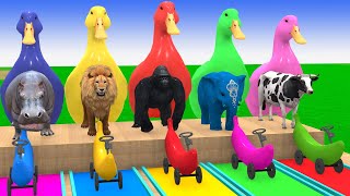 Long Slide Game With Cow Elephant Gorilla Hippopotamus Tiger 3d Animal Game Funny 3d Animals
