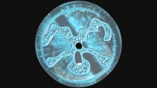 CausticExpulsion_-_The_Drive