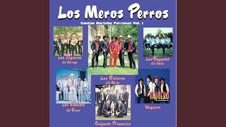 Arrancame El Corazon