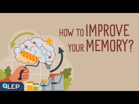記憶力を向上させる方法 | 🎧 ポッドキャスト＆チル | 初心者向け (How to Improve Your Memory? | 🎧 Podcast and Chill | Beginner)
