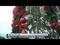 Os preparativos do Natal de luz já se iniciaram em Rolim de Moura