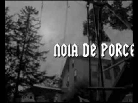 pau riba vs new order