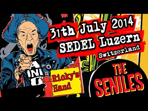 THE SENILES - Ricky's Hand (31th July 2014 / SEDEL Lucerne, Switzerland) cover song