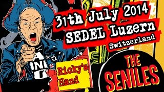 THE SENILES - Ricky's Hand (31th July 2014 / SEDEL Lucerne, Switzerland) cover song