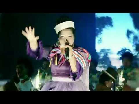 ANAIS DE LOS ANDES  -  A Que Volvistes