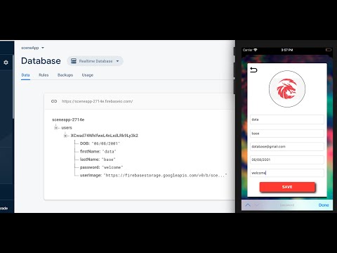 Swift 5.1 , Xcode 11, Firebase Storage and database