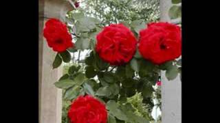 Richard Bonsall(treble)/Aled Jones(sopran)