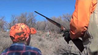preview picture of video 'FBO Father/Son Pheasant Shoot'