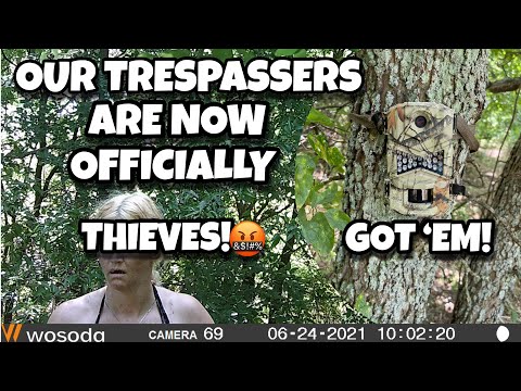 Our trespassers are now officially thieves! | The whole story with pictures | Got 'em!