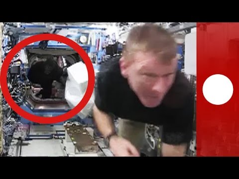 Here's The Time Scott Kelly Snuck A Gorilla Suit Onto The International Space Station And Scared The Bejesus Out Of Everyone