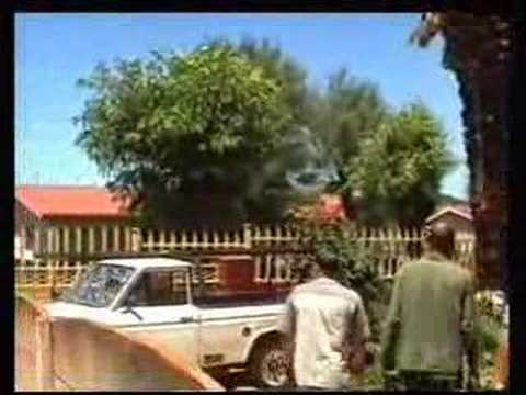 aracher un arbre avec 4x4 accident régis humour mdr