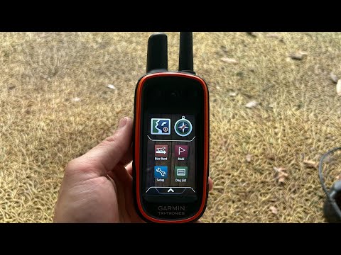 How to SHOCK and BEEP on the Garmin Alpha 100