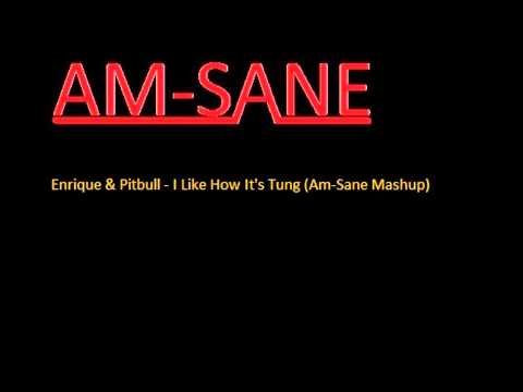 Enrique & Pitbull vs Deniz Koyu - I Like How It's Tung (Am-Sane Mashup)