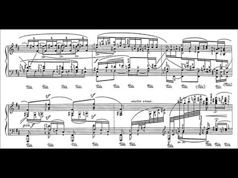 Godowsky: Passacaglia in B Minor (Siirala)